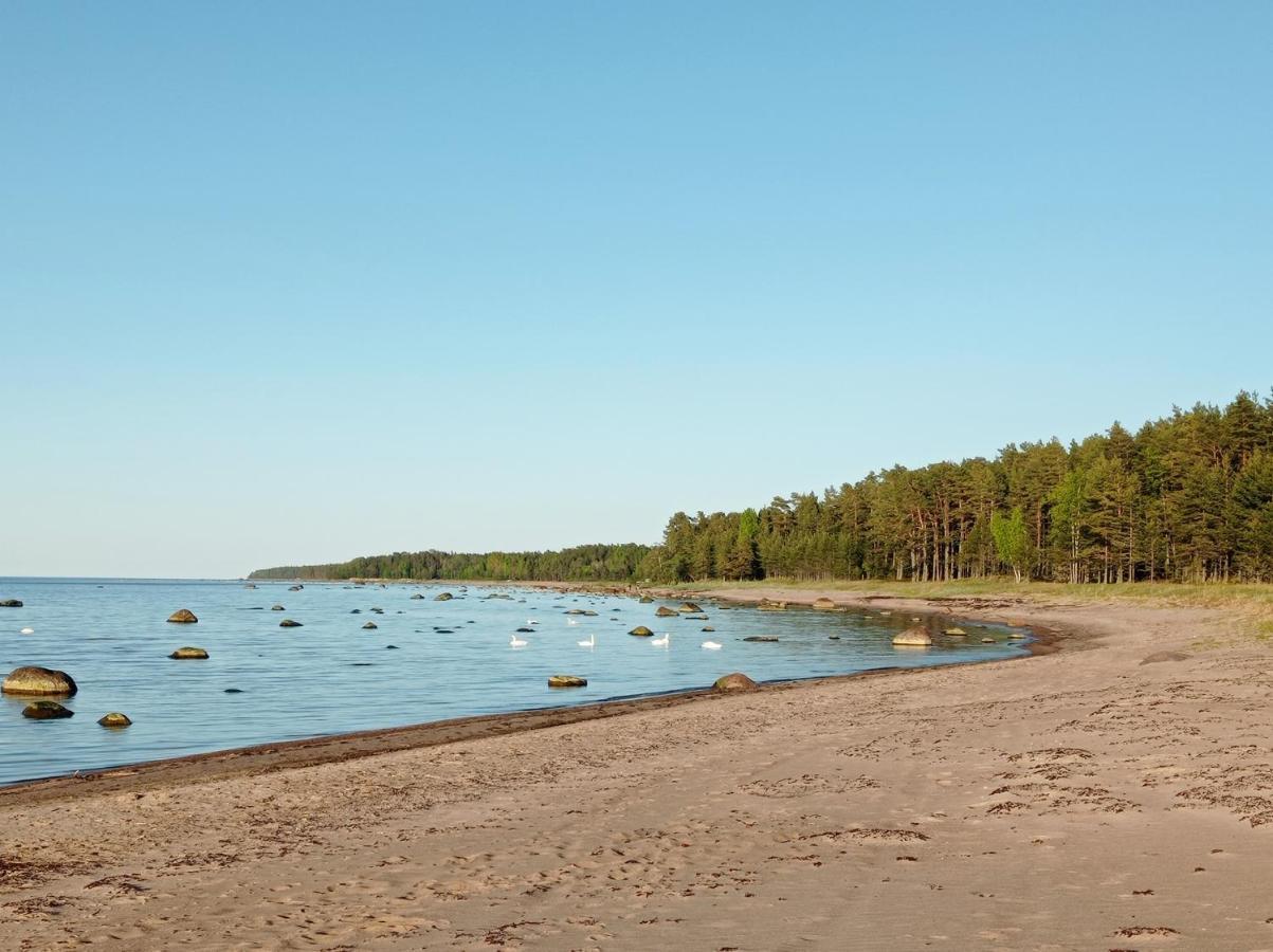 Toomarahva Farmstay Altja Zewnętrze zdjęcie